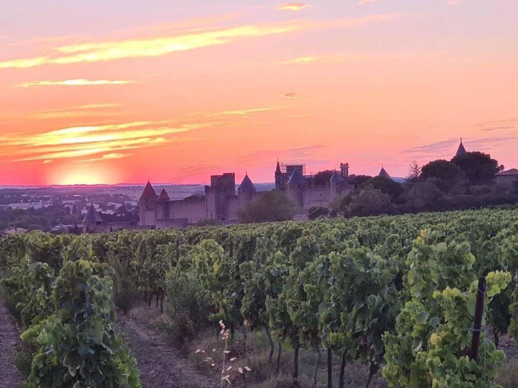 Meuble De Tourisme 4 Etoiles Logis Riquet Proche De Carcassonne Villa Caux-et-Sauzens Buitenkant foto